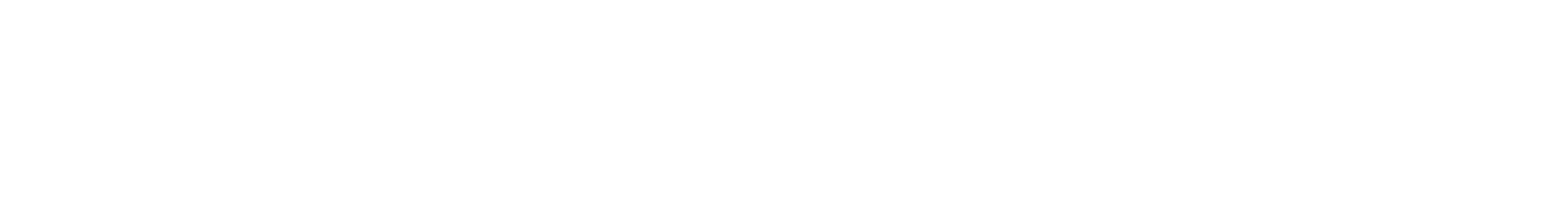 おすすめラインアップ